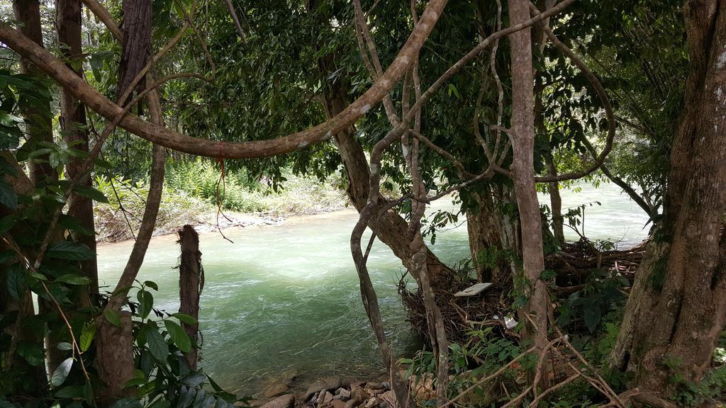 Khao Sok Jungle Huts Resort Khao Sok National Park Экстерьер фото